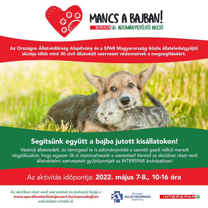 Segíts a bajba jutott állatokon!