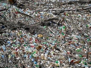 Kitiltották az egyszer használatos műanyag palackokat a San Franciscó-i reptérről