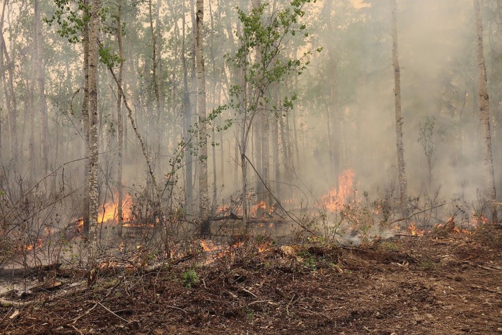 Az Alberta Wildfire által közreadott képen erdőtűz a kanadai Alberta tartományban fekvő Sturgeon Lake Cree Nation területén 2023. június 8-án. Fotó: MTI/EPA/Alberta Wildfire