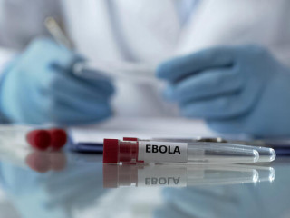 WHO: Kezd igen veszélyessé válni az ebolajárvány Kongóban