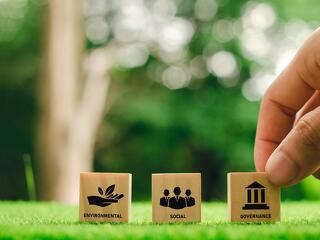 ESG-díjat alapít az MBH, ezek a cégek kaphatják meg