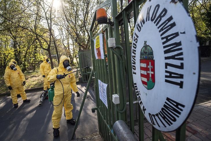 Katona fertőtlenít a fővárosi önkormányzat Pesti úti idősotthona bejáratánál 2020. április 12-én. Az intézményben eddig összesen 198 igazolt koronavírus-fertőzöttet találtak, nyolcan meghaltak. MTI/Mónus Márton