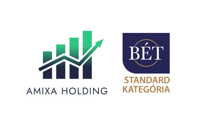 Amixa Holding logo