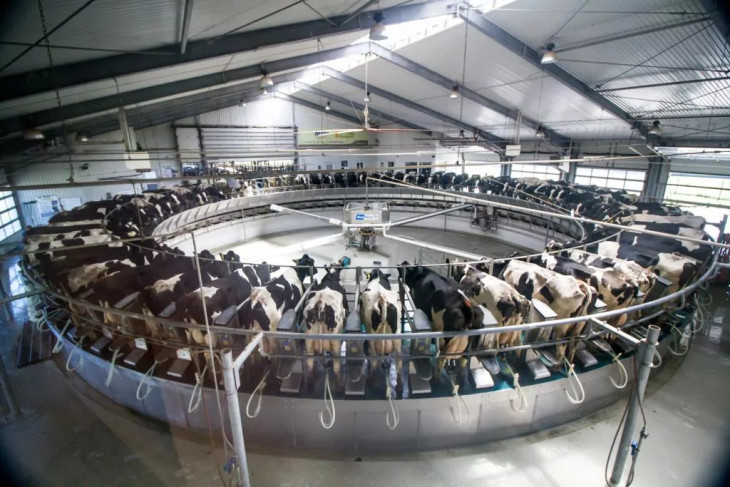A Bonafarm korszerű tehenészetet üzemeltet Csípőteleken