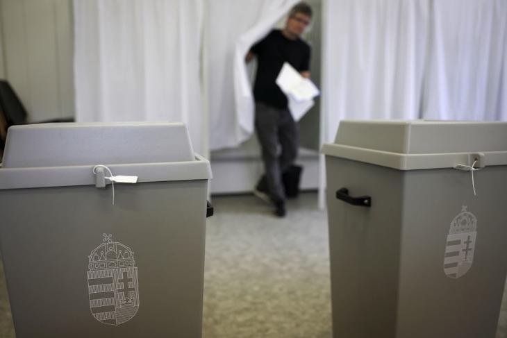 Egy szavazó az önkormányzati, európai parlamenti és nemzetiségi választásokon a XII. kerületi Fekete István Általános Iskola és Előkészítő Szakiskolában kialakított 24. szavazókörben 2024. június 9-én 