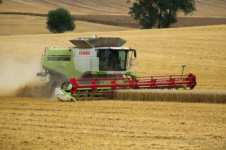 Az embargó ellenére Magyarországon áthaladhat az ukrán gabona. Fotó: Pixabay