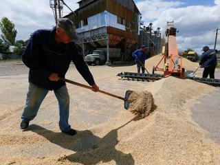 ENSZ: meghosszabbítják a fekete-tengeri gabonaexport-megállapodást