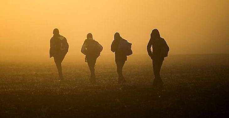 Magyarország elvesztette a kvótapert