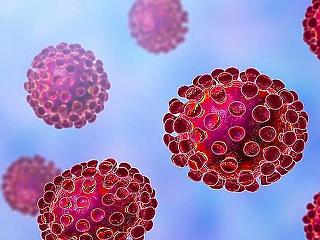 Koronavírus: nőtt a halálozási ráta, viszont régóta nem volt ilyen kevés új fertőzött