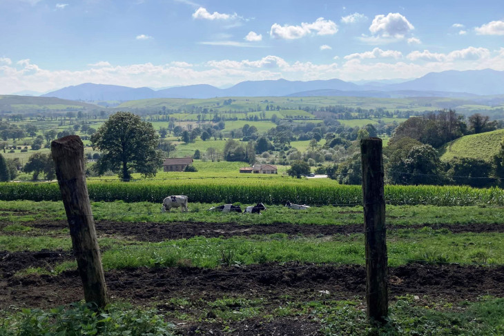 Kerítés és panoráma