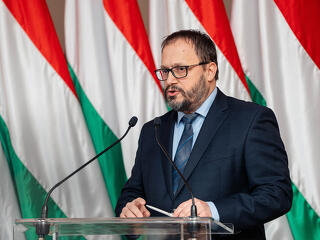 Rögtön nekiállna az euró bevezetésének a Tisza Párt