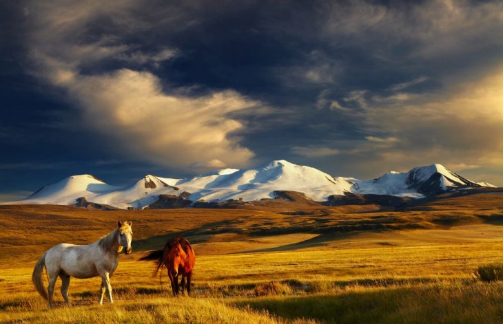 Mongólia várja a látogatókat. Fotó: Depositphotos