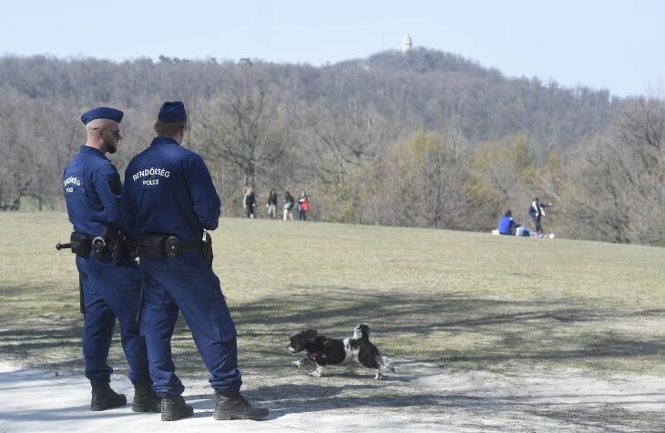 Albérlettámogatást kapnak jövőre a fővárosban és környékén szolgáló rendvédelmi dolgozók