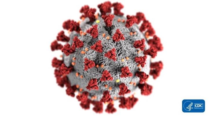 79 új koronavírus-fertőzött, 12-en meghaltak 
