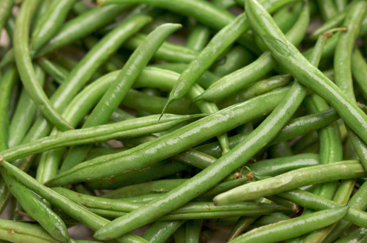 Zöldbab