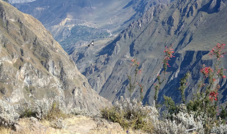 Peru