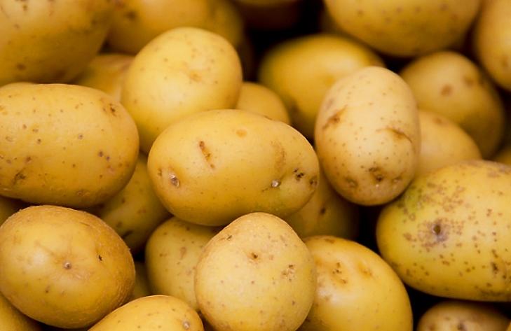 Férges krumplit találtak – országos razzia jön 