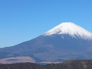 Előrehozott választásokat írhatnak ki Japánban