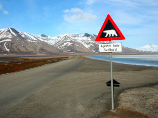 Svalbard a jegesmedvéknek is otthona