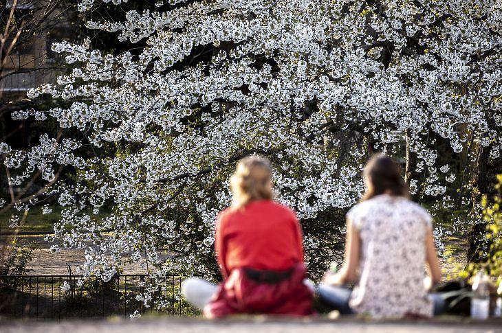 A pandémia árnyékában borultak virágba - friss magyar fintech-sikerek