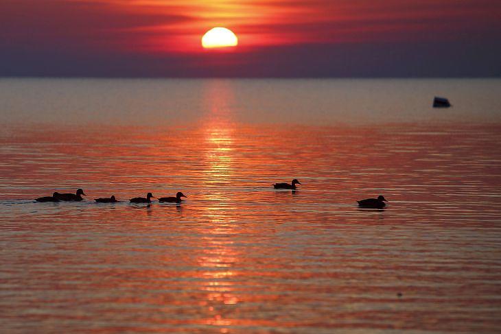 2021 nyár: Jesolo helyett Nyíregyháza volt a magyar sláger