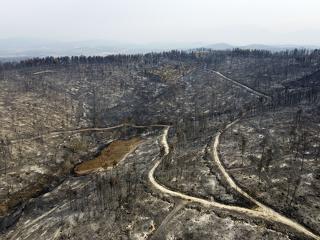 Portugáliában is felcsaptak a lángok, hatalmas erdőtűz pusztít
