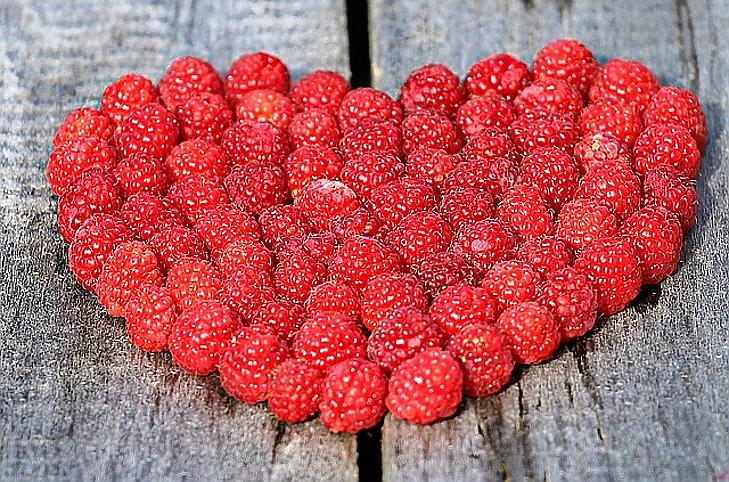 Nem éri meg: hamarosan ebből a gyümölcsből is csak külföldi marad?