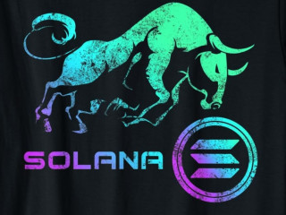 Solana-póló. A bika a féktelen áremelkedés jelképe. Forrás: Amazon.com