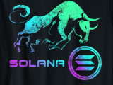 Solana-póló. A bika a féktelen áremelkedés jelképe. Forrás: Amazon.com