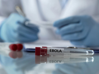 Az afrikai országokban élőknek meg kellett tanulniuk együtt élni az ebolavírussal