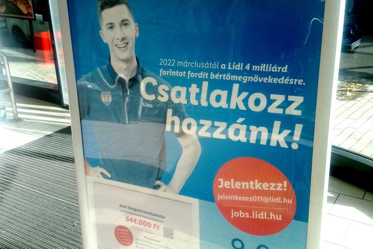 Több száz dolgozót vesz fel a Lidl, a rutinos targoncások és raktárosok bruttó 800 ezer felett is kereshetnek