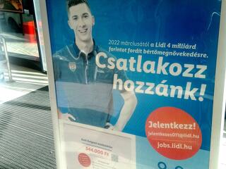 Több száz dolgozót vesz fel a Lidl, a rutinos targoncások és raktárosok bruttó 800 ezer felett is kereshetnek