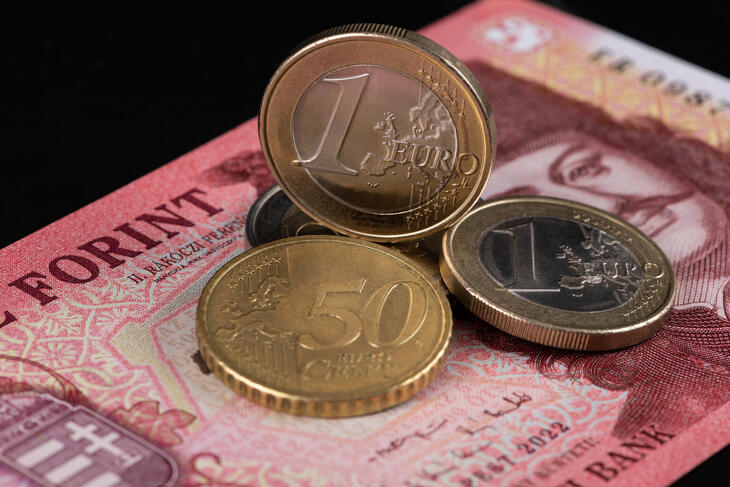 A forint még nem bontott pezsgőt: gyengüléssel indult az év utolsó napja