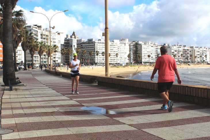 Tenger és pálmafák: a La Rambla sétány Montevideo Pocitos negyedében. Fotó: Wéber Balázs