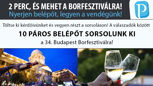 Borfesztivál kérdőív